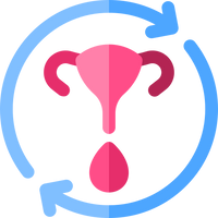 Heavy or Prolonged Periods