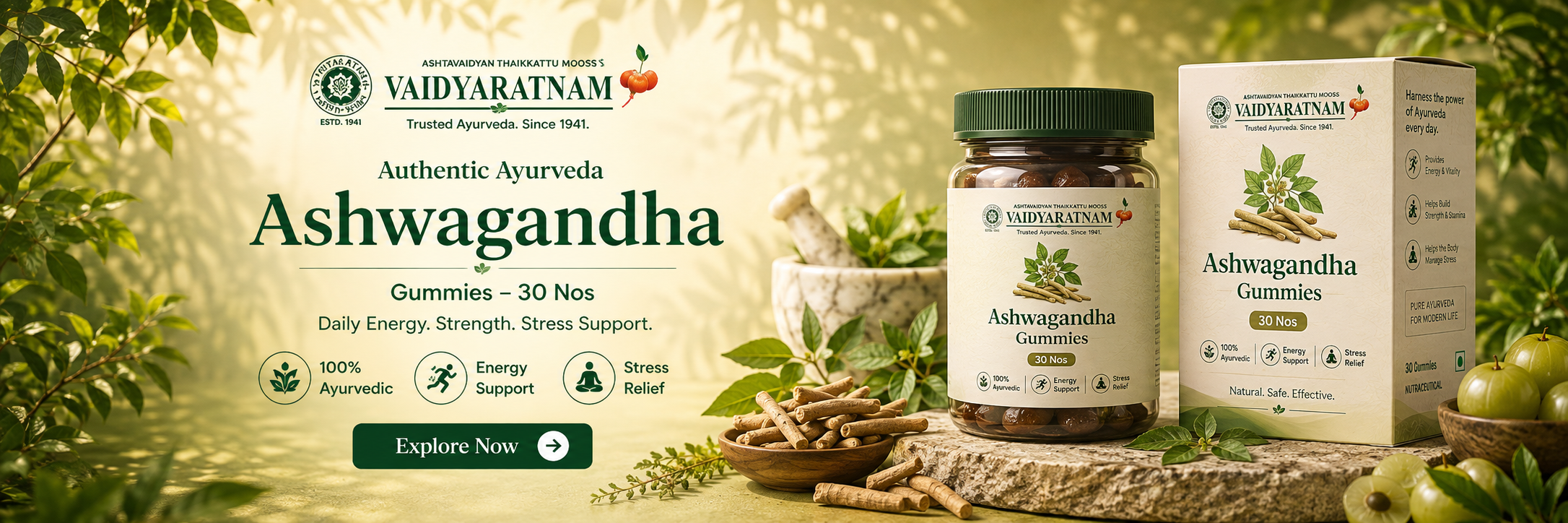 Ayurveda banner