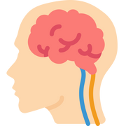 Brain Health