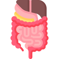 Digestive Issues