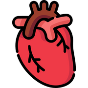 Heart Health